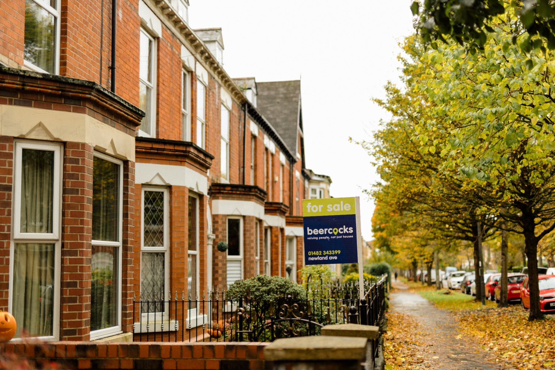 Is Newland and The Avenues the Perfect Place to Live?